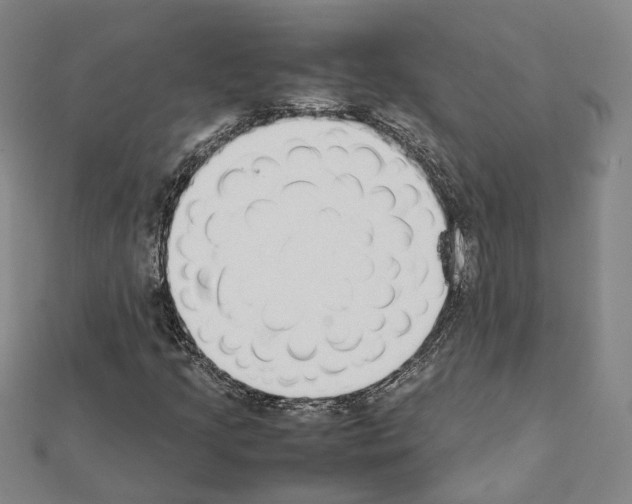 X0000111451205200908241158