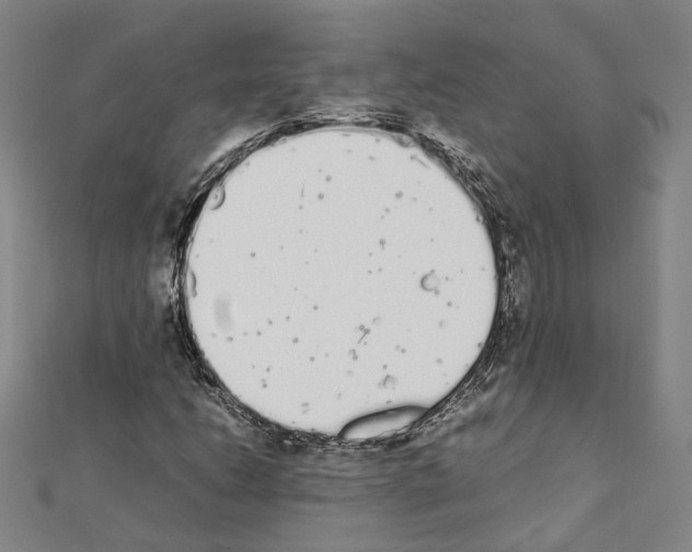 X0000111451206200908241158