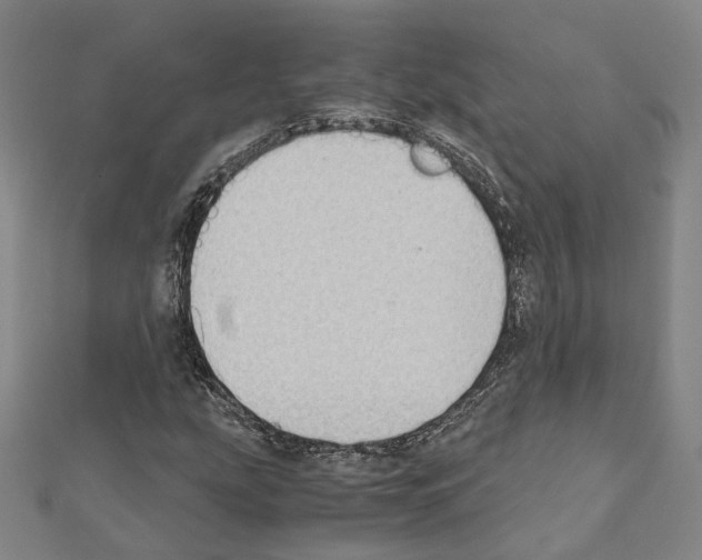 X0000111451207200908241158
