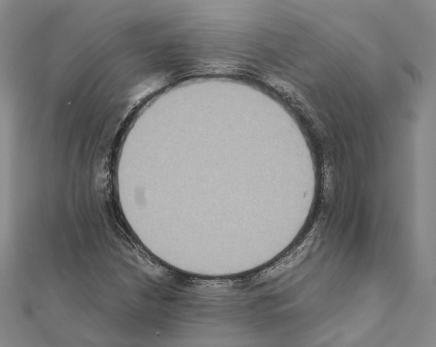 X0000111451210200908241158