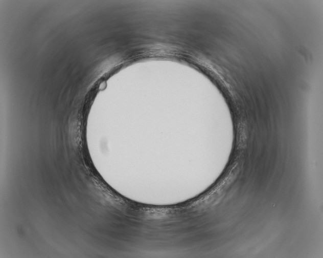 X0000111451211200908241158
