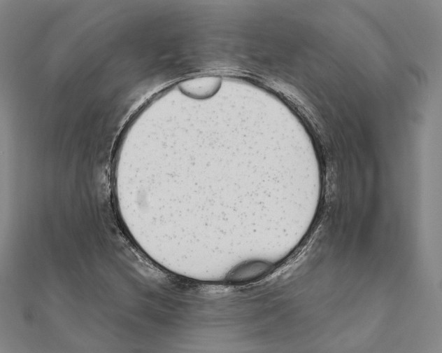 X0000111451212200908241158