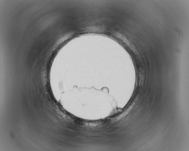 X0000111451213200908241158