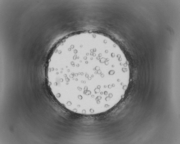 X0000111451214200908241158