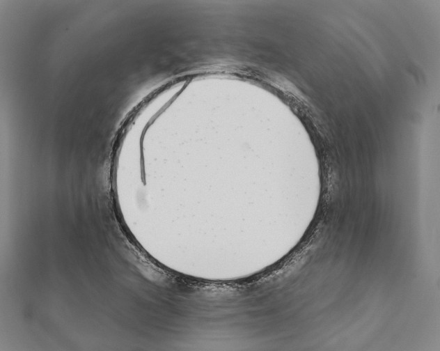 X0000111451216200908241158