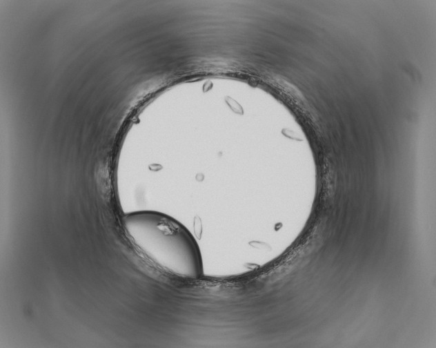 X0000111451218200908241158