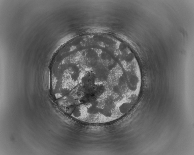 X0000111451219200908241158