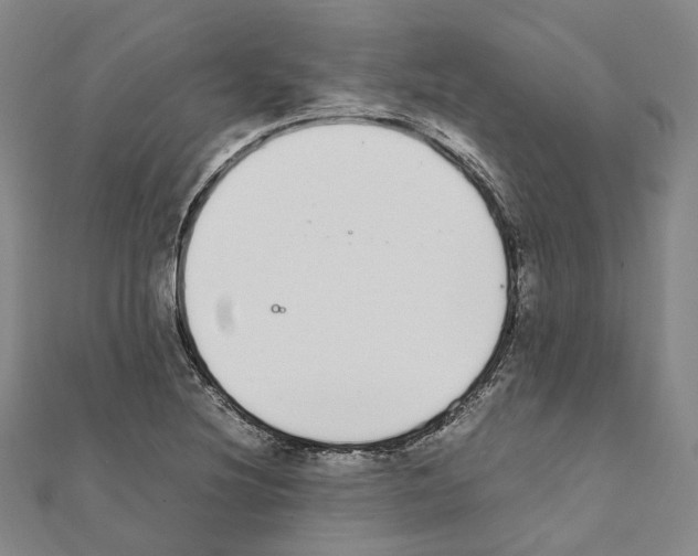 X0000111451220200908241158