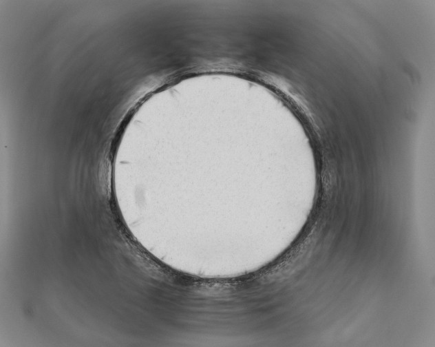X0000111451221200908241158