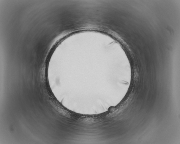 X0000111451222200908241158