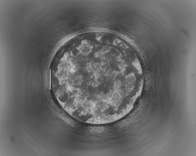X0000111451223200908241158