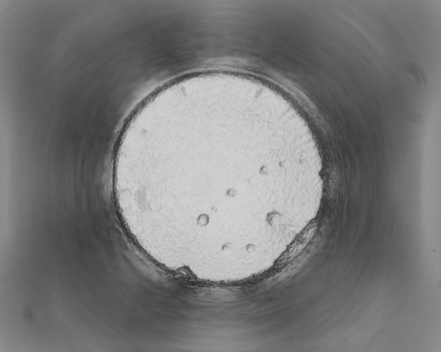 X0000111451224200908241158
