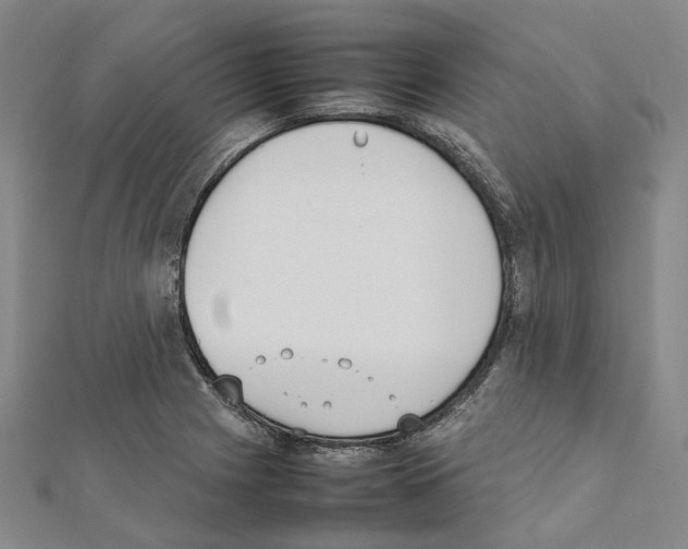 X0000111451225200908241158