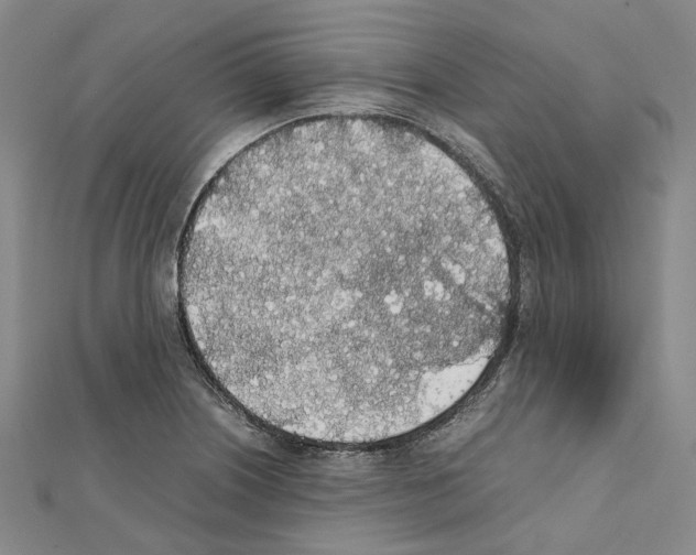 X0000111451226200908241158