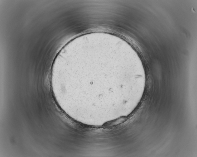 X0000111451228200908241158