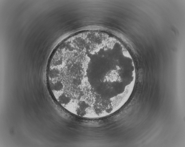 X0000111451229200908241158