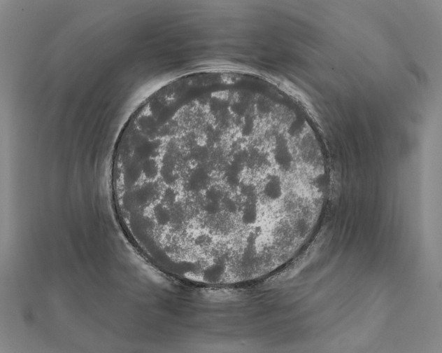 X0000111451231200908241158