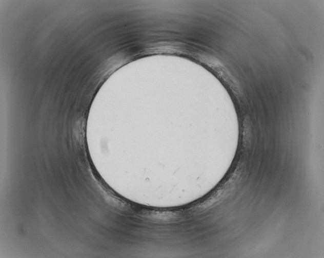 X0000111451233200908241158