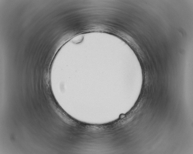 X0000111451234200908241158