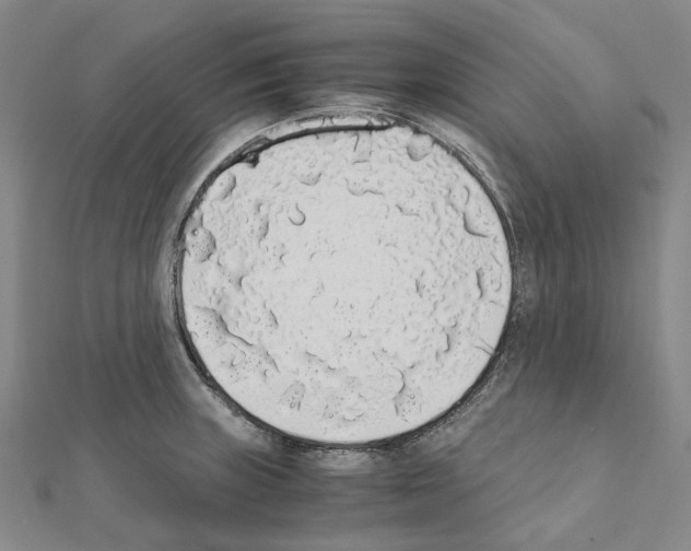 X0000111451235200908241158