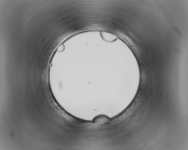 X0000111451236200908241158