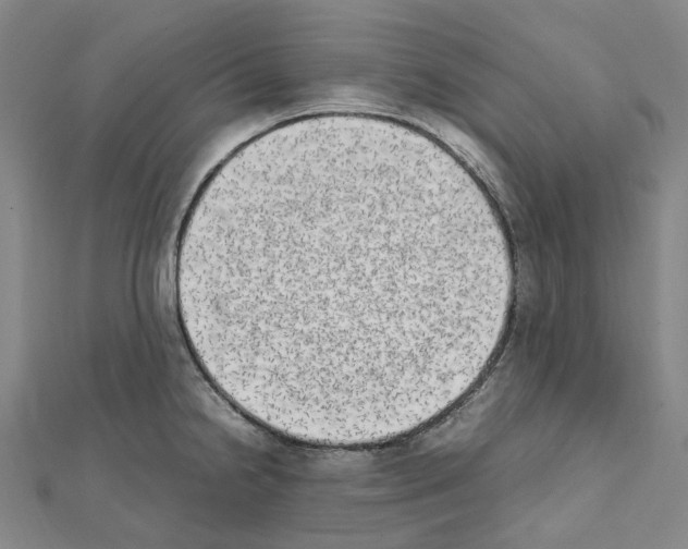 X0000111451238200908241158