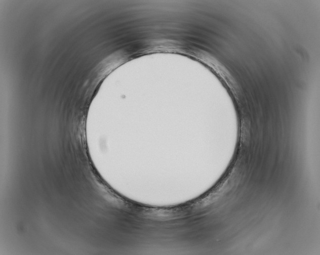 X0000111451241200908241158