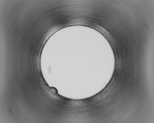 X0000111451242200908241158