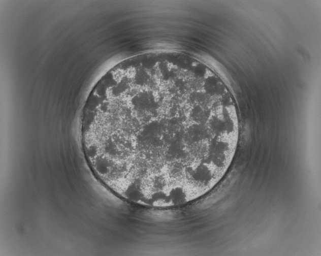X0000111451243200908241159