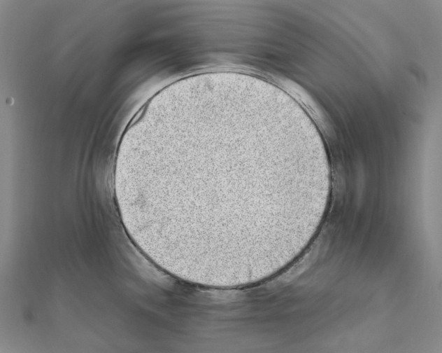 X0000111451244200908241159