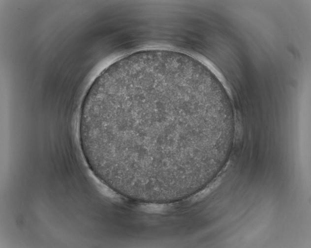 X0000111451245200908241159
