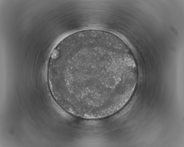 X0000111451246200908241159