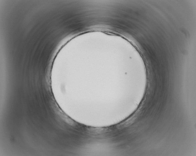 X0000111451248200908241159