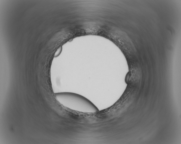 X0000111451249200908241158