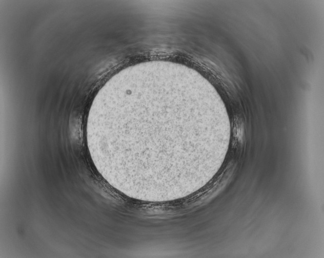 X0000111451252200908241158