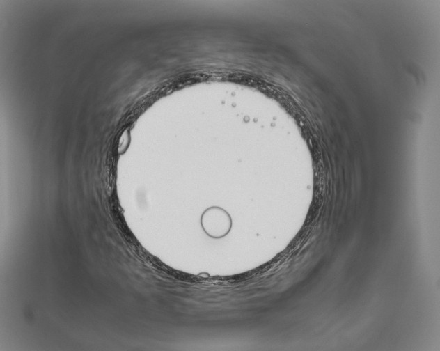 X0000111451253200908241158
