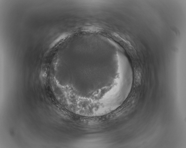 X0000111451254200908241158
