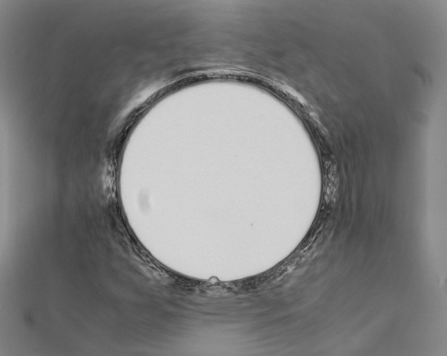X0000111451255200908241158