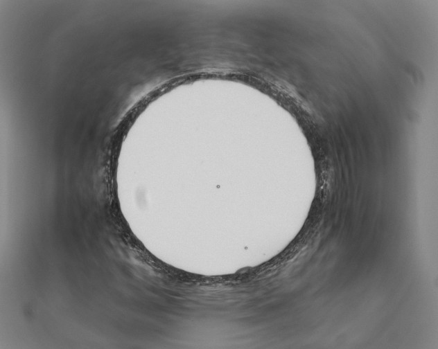 X0000111451256200908241158
