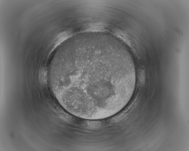 X0000111451258200908241158