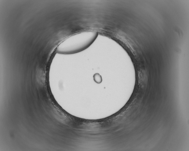 X0000111451260200908241158