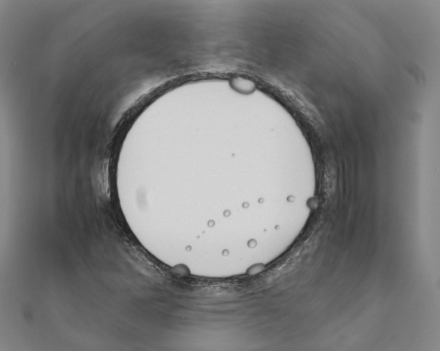 X0000111451262200908241158