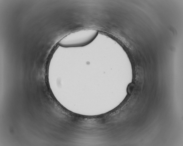 X0000111451264200908241158