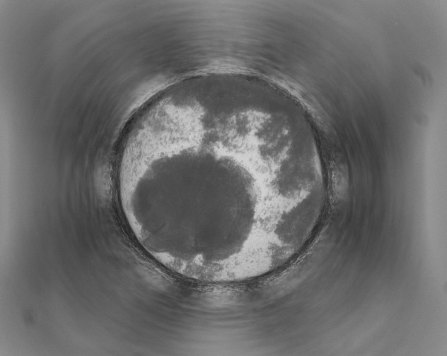 X0000111451266200908241158