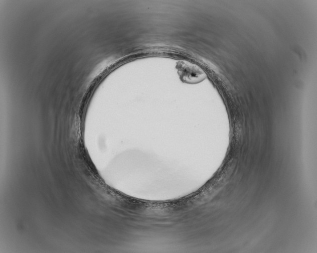 X0000111451267200908241158