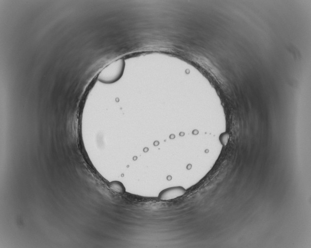X0000111451268200908241158