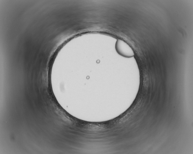 X0000111451270200908241158