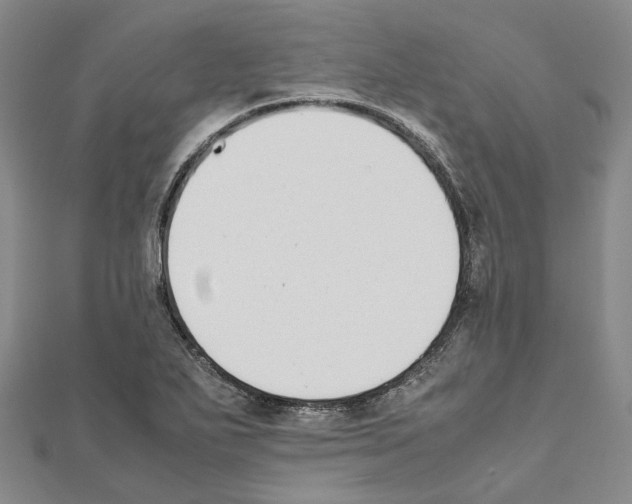 X0000111451271200908241158
