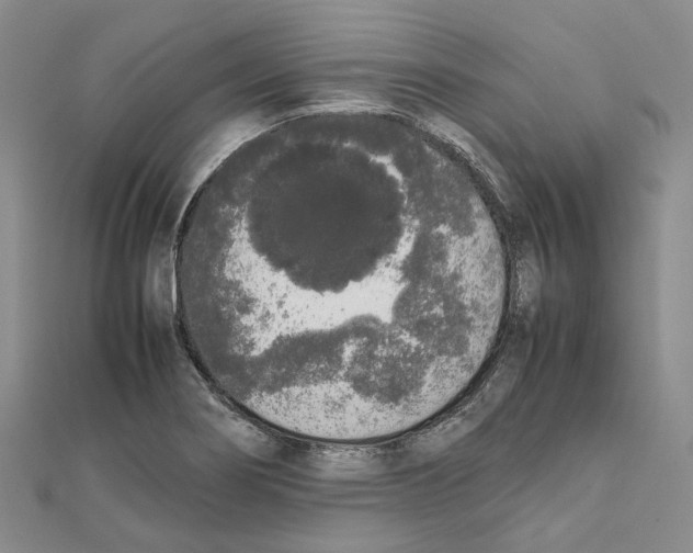 X0000111451274200908241158