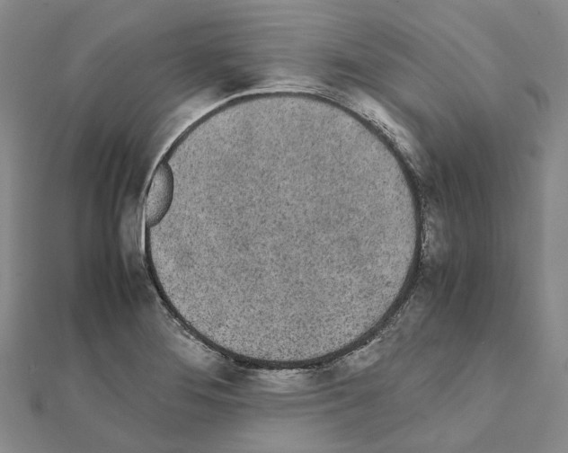 X0000111451276200908241158